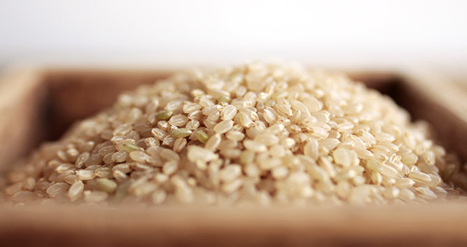 安心、安全な完全無農薬の玄米